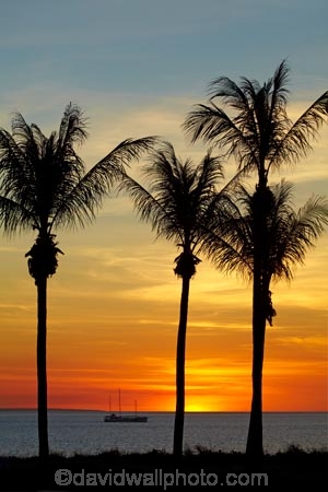 Australasian;Australia;Australian;beach;beaches;boat;boats;coast;coastal;coastline;cruise;cruises;Darwin;dusk;evening;launch;launches;Mindil-Beach;N.T.;nightfall;Northern-Territory;NT;ocean;oceans;orange;palm-tree;palm-trees;sand;sandy;sea;seas;shore;shoreline;sky;sunset;sunsets;Top-End;tour-boat;tour-boats;tourism;tourist;tourist-boat;tourist-boats;twilight;water;yacht;yachts