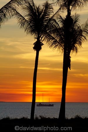 Australasian;Australia;Australian;beach;beaches;boat;boats;coast;coastal;coastline;cruise;cruises;Darwin;dusk;evening;launch;launches;Mindil-Beach;N.T.;nightfall;Northern-Territory;NT;ocean;oceans;orange;palm-tree;palm-trees;sand;sandy;sea;seas;shore;shoreline;sky;sunset;sunsets;Top-End;tour-boat;tour-boats;tourism;tourist;tourist-boat;tourist-boats;twilight;water;yacht;yachts