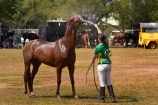 Australasian;Australia;Australian;Darwin;equestrian;fair;fairs;Freds-Pass-Rural-Show;horse;horses;N.T.;Northern-Territory;NT;people;person;polo-cross;polocross;polocross-rider;polocross-riders;polocrosse;polocrosse-rider;polocrosse-riders;rural-show;rural-shows;show;shows;sport;sports;spraying;Top-End;water