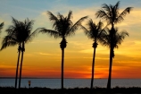 Australasian;Australia;Australian;beach;beaches;coast;coastal;coastline;Darwin;dusk;evening;Mindil-Beach;N.T.;nightfall;Northern-Territory;NT;ocean;oceans;orange;palm-tree;palm-trees;sand;sandy;sea;seas;shore;shoreline;sky;sunset;sunsets;Top-End;twilight