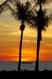 Australasian;Australia;Australian;beach;beaches;boat;boats;coast;coastal;coastline;cruise;cruises;Darwin;dusk;evening;launch;launches;Mindil-Beach;N.T.;nightfall;Northern-Territory;NT;ocean;oceans;orange;palm-tree;palm-trees;sand;sandy;sea;seas;shore;shoreline;sky;sunset;sunsets;Top-End;tour-boat;tour-boats;tourism;tourist;tourist-boat;tourist-boats;twilight;water;yacht;yachts