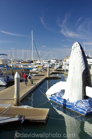 australasia;Australia;australian;boat;boat-harbour;boats;catamaran;catamarans;coast;coastal;fishing-boat;fishing-boats;Fraser-Coast;harbor;harbors;harbours;Hervey-Bay;humpback;humpback-whale;humpback-whales;icon;jetties;jetty;marina;marinas;pier;piers;queensland;sculpture;sculptures;statues;Urangan;whale;whale-statue;whales;wharfs;wharves;yacht;yachts