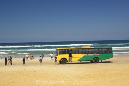 4wd;4wds;4wds;4x4;4x4s;4x4s;australasia;Australia;australian;beach;beaches;bus;buses;coach;coaches;coast;coastal;coastline;coastlines;four-by-four;four-by-fours;four-wheel-drive;four-wheel-drives;Fraser-Island;golden-sand;great-sandy-n.p.;great-sandy-national-park;great-sandy-np;islands;passenger;passengers;queensland;sand;sandy;seventy-five-mile-beach;shore;shoreline;shorelines;tourism;tourist;tourists;travel;UN-world-heritage-site;united-nations-world-heritage-s;world-heritage;World-Heritage-site;yellow-sand