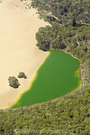 aerial;aerials;australasia;Australia;australian;barrier-lake;barrier-lakes;beach;beaches;bush;forest;Fraser-Island;golden-sand;great-sandy-n.p.;great-sandy-national-park;great-sandy-np;green;hammerstone-sand-blow;islands;Lake-Wabby;lakes;native-bush;queensland;sand-blow;sand-blows;sand-dune;sand-dunes;UN-world-heritage-site;united-nations-world-heritage-s;world-heritage;World-Heritage-site;yellow-sand