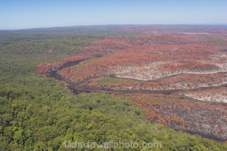 aerial;aerials;australasia;Australia;australian;brush;burnt;bush;bush-fire;bush-fires;bush_fire;bush_fires;bushfire;bushfires;Catastrophe;Catastrophes;conservation;Countryside;Danger;Deforestation;destroy;destruction;destructive;disaster;Disasters;engulf;Environment;environmental-issues;fire;Fires;flora;foliage;forest;forests;Fraser-Island;great-sandy-n.p.;great-sandy-national-park;great-sandy-np;Hazard;incinerated;islands;landscape;landscapes;loss;Losses;native-bush;natural;Natural-disaster;Natural-disasters;nature;outdoors;plant;pollution;queensland;rainforest;regeneration;scorch;scorched;scrub;tree;trees;UN-world-heritage-site;united-nations-world-heritage-s;vegetation;wild-fire;wild-fires;wild_fire;wild_fires;wildfire;wildfires;world-heritage;World-Heritage-site
