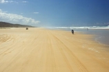 4wd;4wds;4wds;4x4;4x4s;4x4s;australasia;Australia;australian;beach;beaches;bike;biker;bikers;bikes;coast;coastal;coastline;coastlines;four-by-four;four-by-fours;four-wheel-drive;four-wheel-drives;Fraser-Island;golden-sand;great-sandy-n.p.;great-sandy-national-park;great-sandy-np;islands;motorbike;motorbiker;motorbikers;motorbikes;motorcycle;motorcycles;motorcyclist;motorcyclists;queensland;sand;sandy;seventy-five-mile-beach;shore;shoreline;shorelines;UN-world-heritage-site;united-nations-world-heritage-s;world-heritage;World-Heritage-site;yellow-sand