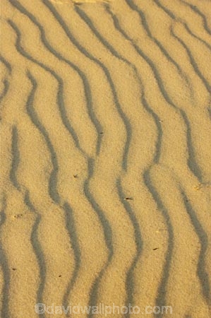 Arid;Aridity;austalian;australasia;Australia;Background;Backgrounds;Barren;beach;beaches;coolangatta;Desert;Deserts;Desolate;Desolation;Dry;Dune;Dunes;Earth;Exterior;gold-coast;Ground;Grounds;Natural-background;Natural-backgrounds;Nature;Outdoor;Outdoors;Outside;pattern;patterns;queensland;Ripple;Ripples;Sand;sandy;Surface;Surfaces;Texture;Textures;Wave;Waves