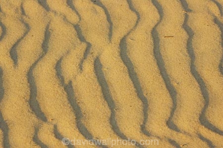 Arid;Aridity;austalian;australasia;Australia;Background;Backgrounds;Barren;beach;beaches;coolangatta;Desert;Deserts;Desolate;Desolation;Dry;Dune;Dunes;Earth;Exterior;gold-coast;Ground;Grounds;Natural-background;Natural-backgrounds;Nature;Outdoor;Outdoors;Outside;pattern;patterns;queensland;Ripple;Ripples;Sand;sandy;Surface;Surfaces;Texture;Textures;Wave;Waves