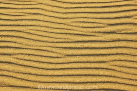 Arid;Aridity;austalian;australasia;Australia;Background;Backgrounds;Barren;beach;beaches;coolangatta;Desert;Deserts;Desolate;Desolation;Dry;Dune;Dunes;Earth;Exterior;gold-coast;Ground;Grounds;Natural-background;Natural-backgrounds;Nature;Outdoor;Outdoors;Outside;pattern;patterns;queensland;Ripple;Ripples;Sand;sandy;Surface;Surfaces;Texture;Textures;Wave;Waves