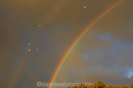 australasia;australia;australian;bird;birds;cloud;clouds;cloudy;dusk;evening;fly;flying;natural;nature;nightfall;peaceful;peacefulness;queensland;rainbow;rainbows;scene;scenes;seagull;seagulls;serene;serenity;skies;sky;storm;storms;tranquil;tranquility;weather
