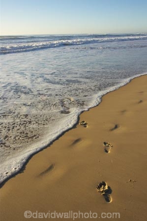 accommodation;apartment;apartments;australasia;Australia;beach;beaches;coast;coastal;direction;early-light;foam;foot-print;foot-prints;foot-step;foot-steps;footprint;footprints;footstep;footsteps;freedom;Gold-Coast;high-rise;high-rises;high_rise;high_rises;highrise;highrises;holiday;holidays;hotel;hotels;queensland;reflection;reflections;sand;sandy;sky-scraper;sky-scrapers;sky_scraper;sky_scrapers;skyscraper;skyscrapers;surfers-paradise;tourism;travel;vacation;vacations;wave;waves;wet