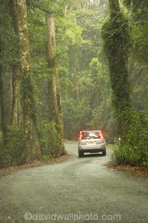 s;4wd;4wds;4wds;4x4;4x4s;4x4s;australasia;Australia;automobile;automobiles;bend;car;cars;damp;forest;forests;four-by-four;four-by-fours;four-wheel-drive;four-wheel-drives;Gold-Coast;green;Hinterland;Lamington-National-Park;natural;nature;nissan;Queensland;rain-forest;rain-forests;rain_forest;rain_forests;rainforest;rainforests;Road;roads;s-bend;tranportation;transport;travel;traveling;travelling;tree;trees;trip;trips;vehicle;vehicles;wet;woods;x-trail;x_trail;xtrail
