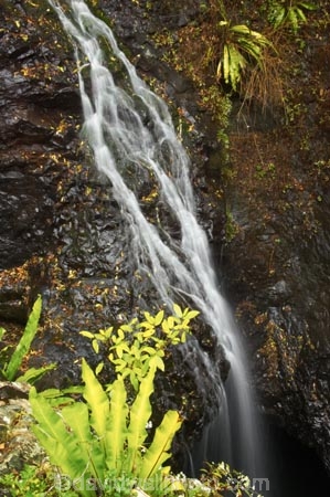 australasia;Australia;australian;cascade;cascades;damp;Gold-Coast;Hinterland;lush;natural;Natural-Bridge-Waterfall;nature;Queensland;rain;rain-forest;rain-forests;rain_forest;rain_forests;rainforest;rainforests;rainy;Springbrook-National-Park;waterfall;waterfalls;wet;wilderness