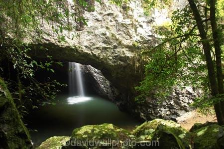 arch;arches;australasia;Australia;australian;brook;brooks;cascade;cascades;cave;cavern;caverns;caves;creek;creeks;damp;feature;flow;geological;geology;Gold-Coast;Hinterland;lush;natural;Natural-Bridge-Waterfall;nature;Queensland;rain;rain-forest;rain-forests;rain_forest;rain_forests;rainforest;rainforests;rainy;rock;rocks;rocky;Springbrook-National-Park;stream;streams;water;waterfall;waterfalls;wet;wilderness