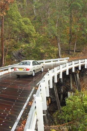 australasia;Australia;automobile;automobiles;bridge;bridges;bush;car;cars;damp;forest;forests;Gold-Coast;green;Hinterland;narrow;natural;nature;Queensland;rain;rain-forest;rain-forests;rain_forest;rain_forests;rainforest;rainforests;rainy;Road;roads;slippery;Springbrook-National-Park;tranportation;transport;travel;traveling;travelling;tree;trees;trip;trips;vehicle;vehicles;wet;wooden;woods