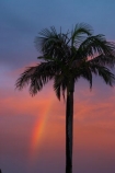 australasia;australia;australian;dusk;evening;gold-coast;natural;nature;nightfall;palm;palm-tree;palm-trees;palms;peaceful;peacefulness;purple;queensland;rainbow;rainbows;scene;scenes;serene;serenity;skies;sky;sunset;sunsets;tranquil;tranquility;travel;tree;trees;tropical;tropics;violet;weather