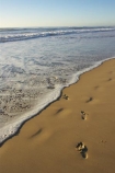 accommodation;apartment;apartments;australasia;Australia;beach;beaches;coast;coastal;direction;early-light;foam;foot-print;foot-prints;foot-step;foot-steps;footprint;footprints;footstep;footsteps;freedom;Gold-Coast;high-rise;high-rises;high_rise;high_rises;highrise;highrises;holiday;holidays;hotel;hotels;queensland;reflection;reflections;sand;sandy;sky-scraper;sky-scrapers;sky_scraper;sky_scrapers;skyscraper;skyscrapers;surfers-paradise;tourism;travel;vacation;vacations;wave;waves;wet