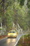 australasia;Australia;automobile;automobiles;car;cars;damp;forest;forests;Gold-Coast;green;head-light;head-lights;head_light;head_lights;headlight;headlights;Hinterland;narrow;natural;nature;Queensland;rain;rain-forest;rain-forests;rain_forest;rain_forests;rainforest;rainforests;rainy;Road;roads;slippery;Springbrook-National-Park;tranportation;transport;travel;traveling;travelling;tree;trees;trip;trips;vehicle;vehicles;wet;woods;yellow