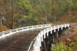 australasia;Australia;bridge;bridges;bush;damp;forest;forests;Gold-Coast;green;Hinterland;narrow;Queensland;rain;rain-forest;rain-forests;rain_forest;rain_forests;rainforest;rainforests;rainy;Road;roads;slippery;Springbrook-National-Park;tranportation;transport;travel;traveling;travelling;tree;trees;trip;trips;wet;wooden;woods