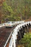 australasia;Australia;automobile;automobiles;bridge;bridges;bush;car;cars;damp;forest;forests;Gold-Coast;green;Hinterland;narrow;natural;nature;Queensland;rain;rain-forest;rain-forests;rain_forest;rain_forests;rainforest;rainforests;rainy;Road;roads;slippery;Springbrook-National-Park;tranportation;transport;travel;traveling;travelling;tree;trees;trip;trips;vehicle;vehicles;wet;wooden;woods