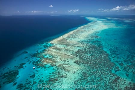 aerial;aerial-photo;aerial-photograph;aerial-photographs;aerial-photography;aerial-photos;aerial-view;aerial-views;aerials;australasian;Australia;australian;Barrier-Reef;blue;coral-reef;coral-reefs;Coral-Sea;dive-boat;dive-boats;dive-site;dive-sites;Ecosystem;Environment;Great-Barrier-Reef;Great-Barrier-Reef-Marine-Park;marine-environment;North-Queensland;ocean;oceans;Qld;queensland;reef;reefs;sea;seas;south-pacific;tasman-sea;Tongue-Reef;Tropcial-North-Queensland;tropical;tropical-reef;tropical-reefs;turquoise;UNESCO-World-Heritage-Site;world-heritage-area;World-Heritage-Park;world-heritage-site;yacht;yachts