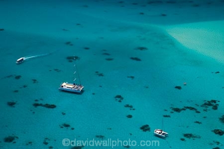 aerial;aerial-photo;aerial-photograph;aerial-photographs;aerial-photography;aerial-photos;aerial-view;aerial-views;aerials;australasian;Australia;australian;Barrier-Reef;blue;boat;boats;coral-reef;coral-reefs;Coral-Sea;cruise;cruises;dive-boat;dive-boats;dive-site;dive-sites;Ecosystem;Environment;Great-Barrier-Reef;Great-Barrier-Reef-Marine-Park;launch;launches;marine-environment;North-Queensland;ocean;Ocean-Spirit-2;Ocean-Spirit-II;Ocean-Spirit-Two;oceans;Qld;queensland;reef;reefs;sea;seas;south-pacific;tasman-sea;tour-boat;tour-boats;tourism;tourist;tourist-boat;tourist-boats;Tropcial-North-Queensland;tropical;tropical-reef;tropical-reefs;turquoise;UNESCO-World-Heritage-Site;Upolu-Cay;Upolu-Cay-N.P.;Upolu-Cay-National-Park;Upolu-Cay-NP;Upolu-Reef;water;world-heritage-area;World-Heritage-Park;world-heritage-site;yacht;yachts