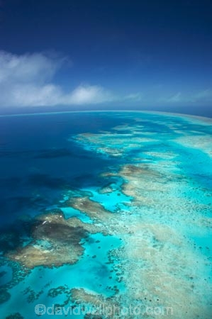 aerial;aerial-photo;aerial-photograph;aerial-photographs;aerial-photography;aerial-photos;aerial-view;aerial-views;aerials;Arlington-Reef;australasian;Australia;australian;Barrier-Reef;blue;cay;cays;coral-cay;coral-cays;coral-reef;coral-reefs;Coral-Sea;dive-site;dive-sites;Ecosystem;Environment;Great-Barrier-Reef;Great-Barrier-Reef-Marine-Park;marine-environment;North-Queensland;ocean;oceans;Qld;queensland;reef;reefs;sea;seas;south-pacific;tasman-sea;Tropcial-North-Queensland;tropical;tropical-reef;tropical-reefs;turquoise;UNESCO-World-Heritage-Site;world-heritage-area;World-Heritage-Park;world-heritage-site
