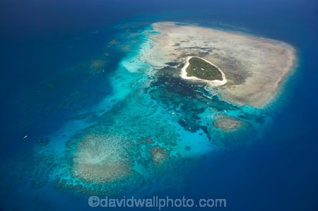 aerial;aerial-photo;aerial-photograph;aerial-photographs;aerial-photography;aerial-photos;aerial-view;aerial-views;aerials;australasian;Australia;australian;Barrier-Reef;blue;cairns;cay;cays;coast;coastal;coastline;coastlines;coasts;coral-cay;coral-cays;coral-reef;coral-reefs;Coral-Sea;dive-site;dive-sites;Ecosystem;Environment;Great-Barrier-Reef;Great-Barrier-Reef-Marine-Park;Green-Is;Green-Is-NP;Green-Is.;green-island;Green-Island-N.P.;Green-Island-National-Park;Green-Island-NP;Green-Island-Resort;holiday;holiday-destination;holiday-destinations;Holidays;marine-environment;North-Queensland;ocean;oceans;Qld;queensland;reef;reefs;sand-cay;sand-cays;sea;seas;shore;shoreline;shorelines;Shores;south-pacific;tasman-sea;tourism;travel;Tropcial-North-Queensland;tropical;tropical-reef;tropical-reefs;turquoise;UNESCO-World-Heritage-Site;Vacation;Vacations;water;world-heritage-area;World-Heritage-Park;world-heritage-site