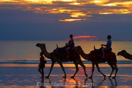 Australasian;Australia;Australian;beach;beaches;Broome;Cable-Beach;calm;camel;camel-train;camel-trains;camels;cloud;clouds;coast;coastal;coastline;dusk;evening;icon;iconic;icons;Kimberley;Kimberley-Region;nightfall;orange;placid;quiet;reflection;reflections;sand;sandy;serene;shore;shoreline;silhouette;silhouettes;sky;smooth;still;sunset;sunsets;The-Kimberley;tourism;tourist;tourist-attraction;tourist-attractions;tourists;tranquil;twilight;W.A.;WA;water;West-Australia;Western-Australia
