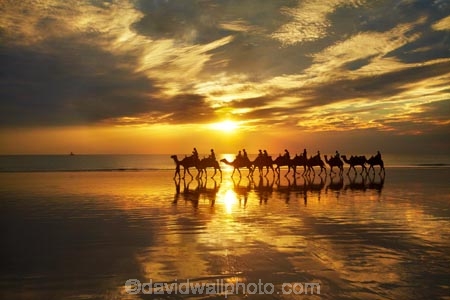 Australasian;Australia;Australian;beach;beaches;Broome;Cable-Beach;calm;camel;camel-train;camel-trains;camels;cloud;clouds;coast;coastal;coastline;dusk;evening;icon;iconic;icons;Kimberley;Kimberley-Region;last-light;late-light;nightfall;orange;placid;quiet;reflection;reflections;sand;sandy;serene;shore;shoreline;silhouette;silhouettes;sky;smooth;still;sunset;sunsets;The-Kimberley;tourism;tourist;tourist-attraction;tourist-attractions;tourists;tranquil;twilight;W.A.;WA;water;West-Australia;Western-Australia