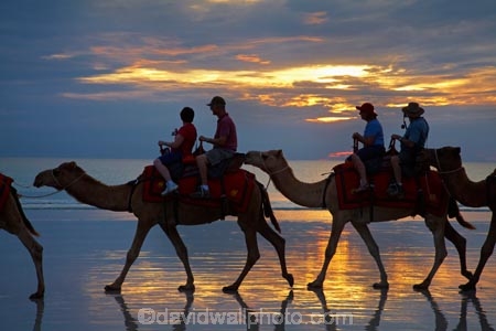 Australasian;Australia;Australian;beach;beaches;Broome;Cable-Beach;calm;camel;camel-train;camel-trains;camels;cloud;clouds;coast;coastal;coastline;dusk;evening;icon;iconic;icons;Kimberley;Kimberley-Region;last-light;late-light;nightfall;orange;placid;quiet;reflection;reflections;sand;sandy;serene;shore;shoreline;silhouette;silhouettes;sky;smooth;still;sunset;sunsets;The-Kimberley;tourism;tourist;tourist-attraction;tourist-attractions;tourists;tranquil;twilight;W.A.;WA;water;West-Australia;Western-Australia
