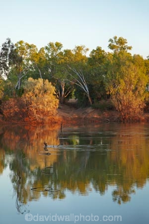 Australasian;Australia;Australian;causeway;crossing;crossing-point;Fitzroy-Crossing;Fitzroy-River;Kimberley;Kimberley-Region;river;The-Kimberley;W.A.;WA;West-Australia;Western-Australia