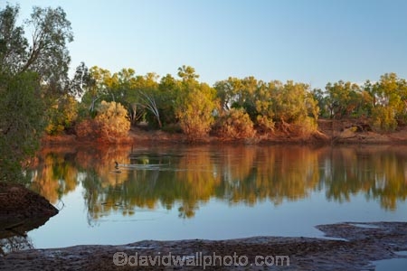 Australasian;Australia;Australian;causeway;crossing;crossing-point;Fitzroy-Crossing;Fitzroy-River;Kimberley;Kimberley-Region;river;The-Kimberley;W.A.;WA;West-Australia;Western-Australia
