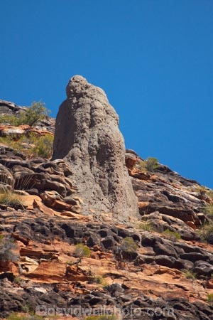 ant-hill;ant-hills;anthill;anthills;arid;Australasia;Australasian;Australia;Australian;Australian-Outback;back-country;backcountry;backwoods;Bungle-Bungle;Bungle-Bungle-Range;Bungle-Bungles;country;countryside;geographic;geography;geological;geology;Kimberley;Kimberley-Region;Outback;Purnululu-N.P.;Purnululu-National-Park;Purnululu-NP;remote;remoteness;rock;rock-formation;rock-formations;rock-outcrop;rock-outcrops;rocks;rural;termitaria;termite-colonies;termite-colony;termite-hill;termite-hills;termite-mound;termite-mounds;termite-nest;termite-nests;The-Kimberley;UN-world-heritage-area;UN-world-heritage-site;UNESCO-World-Heritage-area;UNESCO-World-Heritage-Site;united-nations-world-heritage-area;united-nations-world-heritage-site;W.A.;WA;West-Australia;Western-Australia;wilderness;world-heritage;world-heritage-area;world-heritage-areas;World-Heritage-Park;World-Heritage-site;World-Heritage-Sites