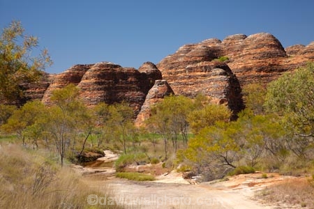 arid;Australasia;Australasian;Australia;Australian;Australian-Outback;back-country;backcountry;backwoods;beehives;Bungle-Bungle;Bungle-Bungle-Range;Bungle-Bungles;country;countryside;geographic;geography;geological;geology;hiking-track;hiking-tracks;Kimberley;Kimberley-Region;Outback;Purnululu-N.P.;Purnululu-National-Park;Purnululu-NP;remote;remoteness;rock;rock-formation;rock-formations;rock-outcrop;rock-outcrops;rocks;rural;The-Kimberley;track;tracks;UN-world-heritage-area;UN-world-heritage-site;UNESCO-World-Heritage-area;UNESCO-World-Heritage-Site;united-nations-world-heritage-area;united-nations-world-heritage-site;W.A.;WA;walking-track;walking-tracks;West-Australia;Western-Australia;wilderness;world-heritage;world-heritage-area;world-heritage-areas;World-Heritage-Park;World-Heritage-site;World-Heritage-Sites