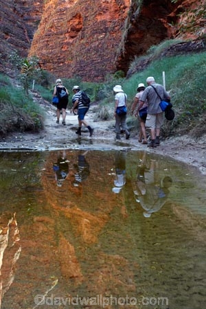 arid;Australasia;Australasian;Australia;Australian;Australian-Outback;back-country;backcountry;backwoods;box-canyon;box-canyons;Bungle-Bungle;Bungle-Bungle-Range;Bungle-Bungles;calm;canyon;canyons;Cathedral-Gorge;chasm;chasms;country;countryside;female;geographic;geography;geological;geology;gorge;gorges;hiking-track;hiking-tracks;Kimberley;Kimberley-Region;male;man;men;Outback;people;person;placid;puddle;puddles;Purnululu-N.P.;Purnululu-National-Park;Purnululu-NP;quiet;reflection;reflections;remote;remoteness;rock;rock-formation;rock-formations;rock-outcrop;rock-outcrops;rocks;rural;serene;smooth;still;The-Kimberley;tourism;tourist;tourists;track;tracks;tranquil;UN-world-heritage-area;UN-world-heritage-site;UNESCO-World-Heritage-area;UNESCO-World-Heritage-Site;united-nations-world-heritage-area;united-nations-world-heritage-site;W.A.;WA;walking-track;walking-tracks;water;waterhole;West-Australia;Western-Australia;wilderness;woman;women;world-heritage;world-heritage-area;world-heritage-areas;World-Heritage-Park;World-Heritage-site;World-Heritage-Sites