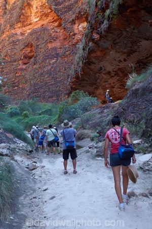 arid;Australasia;Australasian;Australia;Australian;Australian-Outback;back-country;backcountry;backwoods;box-canyon;box-canyons;Bungle-Bungle;Bungle-Bungle-Range;Bungle-Bungles;canyon;canyons;Cathedral-Gorge;chasm;chasms;country;countryside;female;geographic;geography;geological;geology;gorge;gorges;hiking-track;hiking-tracks;Kimberley;Kimberley-Region;male;man;men;Outback;people;person;Purnululu-N.P.;Purnululu-National-Park;Purnululu-NP;remote;remoteness;rock;rock-formation;rock-formations;rock-outcrop;rock-outcrops;rocks;rural;The-Kimberley;tourism;tourist;tourists;track;tracks;UN-world-heritage-area;UN-world-heritage-site;UNESCO-World-Heritage-area;UNESCO-World-Heritage-Site;united-nations-world-heritage-area;united-nations-world-heritage-site;W.A.;WA;walking-track;walking-tracks;West-Australia;Western-Australia;wilderness;woman;women;world-heritage;world-heritage-area;world-heritage-areas;World-Heritage-Park;World-Heritage-site;World-Heritage-Sites