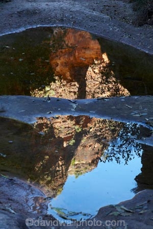 arid;Australasia;Australasian;Australia;Australian;Australian-Outback;back-country;backcountry;backwoods;billabong;billabongs;box-canyon;box-canyons;Bungle-Bungle;Bungle-Bungle-Range;Bungle-Bungles;calm;canyon;canyons;Cathedral-Gorge;chasm;chasms;country;countryside;geographic;geography;gorge;gorges;hiking-track;hiking-tracks;Kimberley;Kimberley-Region;Outback;placid;puddle;puddles;Purnululu-N.P.;Purnululu-National-Park;Purnululu-NP;quiet;reflection;reflections;remote;remoteness;rural;serene;smooth;still;The-Kimberley;track;tracks;tranquil;UN-world-heritage-area;UN-world-heritage-site;UNESCO-World-Heritage-area;UNESCO-World-Heritage-Site;united-nations-world-heritage-area;united-nations-world-heritage-site;W.A.;WA;walking-track;walking-tracks;water;waterhole;waterholes;West-Australia;Western-Australia;wilderness;world-heritage;world-heritage-area;world-heritage-areas;World-Heritage-Park;World-Heritage-site;World-Heritage-Sites
