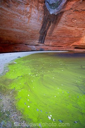 algae;arid;Australasia;Australasian;Australia;Australian;Australian-Outback;back-country;backcountry;backwoods;billabong;billabongs;box-canyon;box-canyons;Bungle-Bungle;Bungle-Bungle-Range;Bungle-Bungles;canyon;canyons;Cathedral-Gorge;chasm;chasms;country;countryside;geographic;geography;geological;geology;gorge;gorges;green-algae;Kimberley;Kimberley-Region;Outback;pool;pools;Purnululu-N.P.;Purnululu-National-Park;Purnululu-NP;remote;remoteness;rock;rock-formation;rock-formations;rock-outcrop;rock-outcrops;rocks;rural;The-Kimberley;UN-world-heritage-area;UN-world-heritage-site;UNESCO-World-Heritage-area;UNESCO-World-Heritage-Site;united-nations-world-heritage-area;united-nations-world-heritage-site;unusual-natural-feature;unusual-natural-features;W.A.;WA;water;waterhole;waterholes;West-Australia;Western-Australia;wilderness;world-heritage;world-heritage-area;world-heritage-areas;World-Heritage-Park;World-Heritage-site;World-Heritage-Sites