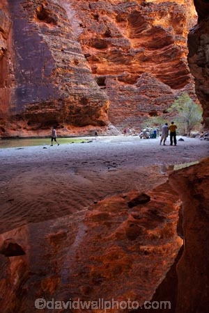arid;Australasia;Australasian;Australia;Australian;Australian-Outback;back-country;backcountry;backwoods;box-canyon;box-canyons;Bungle-Bungle;Bungle-Bungle-Range;Bungle-Bungles;calm;canyon;canyons;Cathedral-Gorge;chasm;chasms;country;countryside;geographic;geography;geological;geology;gorge;gorges;hiking-track;hiking-tracks;Kimberley;Kimberley-Region;Outback;placid;Purnululu-N.P.;Purnululu-National-Park;Purnululu-NP;quiet;reflection;reflections;remote;remoteness;rock;rock-formation;rock-formations;rock-outcrop;rock-outcrops;rock-pool;rock-pools;rocks;rural;serene;smooth;still;The-Kimberley;track;tracks;tranquil;UN-world-heritage-area;UN-world-heritage-site;UNESCO-World-Heritage-area;UNESCO-World-Heritage-Site;united-nations-world-heritage-area;united-nations-world-heritage-site;W.A.;WA;walking-track;walking-tracks;water;West-Australia;Western-Australia;wilderness;world-heritage;world-heritage-area;world-heritage-areas;World-Heritage-Park;World-Heritage-site;World-Heritage-Sites