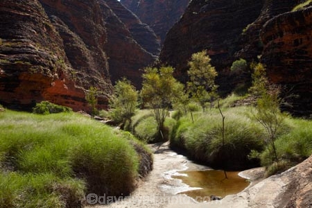arid;Australasia;Australasian;Australia;Australian;Australian-Outback;back-country;backcountry;backwoods;box-canyon;box-canyons;Bungle-Bungle;Bungle-Bungle-Range;Bungle-Bungles;canyon;canyons;Cathedral-Gorge;chasm;chasms;country;countryside;geographic;geography;geological;geology;gorge;gorges;hiking-track;hiking-tracks;Kimberley;Kimberley-Region;Outback;Purnululu-N.P.;Purnululu-National-Park;Purnululu-NP;remote;remoteness;rock;rock-formation;rock-formations;rock-outcrop;rock-outcrops;rocks;rural;The-Kimberley;track;tracks;UN-world-heritage-area;UN-world-heritage-site;UNESCO-World-Heritage-area;UNESCO-World-Heritage-Site;united-nations-world-heritage-area;united-nations-world-heritage-site;W.A.;WA;walking-track;walking-tracks;West-Australia;Western-Australia;wilderness;world-heritage;world-heritage-area;world-heritage-areas;World-Heritage-Park;World-Heritage-site;World-Heritage-Sites