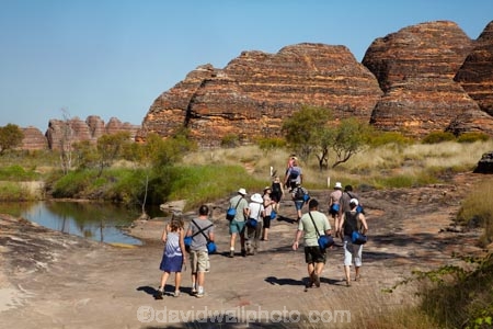 arid;Australasia;Australasian;Australia;Australian;Australian-Outback;back-country;backcountry;backwoods;beehives;Bungle-Bungle;Bungle-Bungle-Range;Bungle-Bungles;Cathedral-Gorge;country;countryside;female;geographic;geography;geological;geology;hiking-track;hiking-tracks;Kimberley;Kimberley-Region;male;man;men;Outback;people;person;Purnululu-N.P.;Purnululu-National-Park;Purnululu-NP;remote;remoteness;rock;rock-formation;rock-formations;rock-outcrop;rock-outcrops;rocks;rural;The-Kimberley;tourism;tourist;tourists;track;tracks;UN-world-heritage-area;UN-world-heritage-site;UNESCO-World-Heritage-area;UNESCO-World-Heritage-Site;united-nations-world-heritage-area;united-nations-world-heritage-site;W.A.;WA;walking-track;walking-tracks;West-Australia;Western-Australia;wilderness;woman;women;world-heritage;world-heritage-area;world-heritage-areas;World-Heritage-Park;World-Heritage-site;World-Heritage-Sites