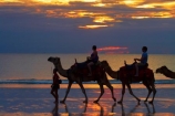 Australasian;Australia;Australian;beach;beaches;Broome;Cable-Beach;calm;camel;camel-train;camel-trains;camels;cloud;clouds;coast;coastal;coastline;dusk;evening;icon;iconic;icons;Kimberley;Kimberley-Region;nightfall;orange;placid;quiet;reflection;reflections;sand;sandy;serene;shore;shoreline;silhouette;silhouettes;sky;smooth;still;sunset;sunsets;The-Kimberley;tourism;tourist;tourist-attraction;tourist-attractions;tourists;tranquil;twilight;W.A.;WA;water;West-Australia;Western-Australia