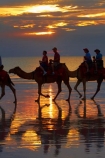 Australasian;Australia;Australian;beach;beaches;Broome;Cable-Beach;calm;camel;camel-train;camel-trains;camels;cloud;clouds;coast;coastal;coastline;dusk;evening;icon;iconic;icons;Kimberley;Kimberley-Region;nightfall;orange;placid;quiet;reflection;reflections;sand;sandy;serene;shore;shoreline;silhouette;silhouettes;sky;smooth;still;sunset;sunsets;The-Kimberley;tourism;tourist;tourist-attraction;tourist-attractions;tourists;tranquil;twilight;W.A.;WA;water;West-Australia;Western-Australia