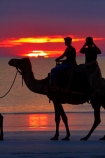 Australasian;Australia;Australian;beach;beaches;Broome;Cable-Beach;calm;camel;camel-train;camel-trains;camels;cloud;clouds;coast;coastal;coastline;dusk;evening;icon;iconic;icons;Kimberley;Kimberley-Region;nightfall;orange;placid;quiet;reflection;reflections;sand;sandy;serene;shore;shoreline;silhouette;silhouettes;sky;smooth;still;sunset;sunsets;The-Kimberley;tourism;tourist;tourist-attraction;tourist-attractions;tourists;tranquil;twilight;W.A.;WA;water;West-Australia;Western-Australia