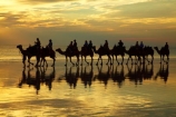 Australasian;Australia;Australian;beach;beaches;Broome;Cable-Beach;calm;camel;camel-train;camel-trains;camels;cloud;clouds;coast;coastal;coastline;dusk;evening;icon;iconic;icons;Kimberley;Kimberley-Region;last-light;late-light;nightfall;orange;placid;quiet;reflection;reflections;sand;sandy;serene;shore;shoreline;silhouette;silhouettes;sky;smooth;still;sunset;sunsets;The-Kimberley;tourism;tourist;tourist-attraction;tourist-attractions;tourists;tranquil;twilight;W.A.;WA;water;West-Australia;Western-Australia