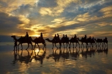 Australasian;Australia;Australian;beach;beaches;Broome;Cable-Beach;calm;camel;camel-train;camel-trains;camels;cloud;clouds;coast;coastal;coastline;dusk;evening;icon;iconic;icons;Kimberley;Kimberley-Region;last-light;late-light;nightfall;orange;placid;quiet;reflection;reflections;sand;sandy;serene;shore;shoreline;silhouette;silhouettes;sky;smooth;still;sunset;sunsets;The-Kimberley;tourism;tourist;tourist-attraction;tourist-attractions;tourists;tranquil;twilight;W.A.;WA;water;West-Australia;Western-Australia