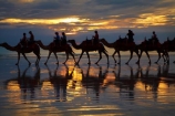 Australasian;Australia;Australian;beach;beaches;Broome;Cable-Beach;calm;camel;camel-train;camel-trains;camels;cloud;clouds;coast;coastal;coastline;dusk;evening;icon;iconic;icons;Kimberley;Kimberley-Region;last-light;late-light;nightfall;orange;placid;quiet;reflection;reflections;sand;sandy;serene;shore;shoreline;silhouette;silhouettes;sky;smooth;still;sunset;sunsets;The-Kimberley;tourism;tourist;tourist-attraction;tourist-attractions;tourists;tranquil;twilight;W.A.;WA;water;West-Australia;Western-Australia