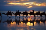 Australasian;Australia;Australian;Broome;Cable-Beach;camel;camel-train;camel-trains;camels;cloud;clouds;dusk;evening;icon;iconic;icons;Kimberley;Kimberley-Region;last-light;late-light;nightfall;orange;silhouette;silhouettes;sky;sunset;sunsets;The-Kimberley;tourism;tourist;tourist-attraction;tourist-attractions;tourists;twilight;W.A.;WA;West-Australia;Western-Australia