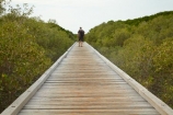 Australasian;Australia;Australian;Broome;dock;docks;jetties;jetty;Kimberley;Kimberley-Region;male;man;mangrove;mangroves;people;person;pier;piers;quay;quays;Streeters-Jetty;The-Kimberley;W.A.;WA;waterside;West-Australia;Western-Australia;wharf;wharfes;wharves